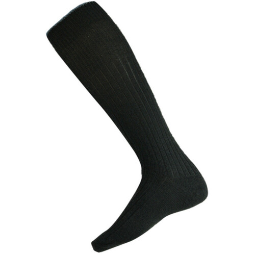 WORKWEAR, SAFETY & CORPORATE CLOTHING SPECIALISTS HL-13H Sock